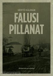 Sértő Kálmán: FALUSI PILLANAT