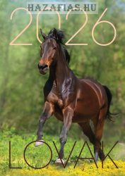 Falinaptár A/4 tűzött "Lovak"