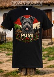 Pumi